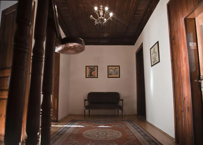 Veni Vidi Dormi Istambul